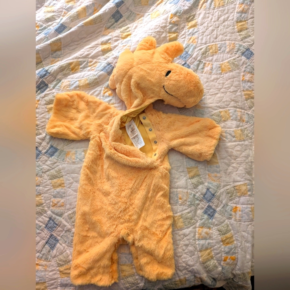 Pottery Barn Kids Peanuts Costume - Woodstock 0-6 months